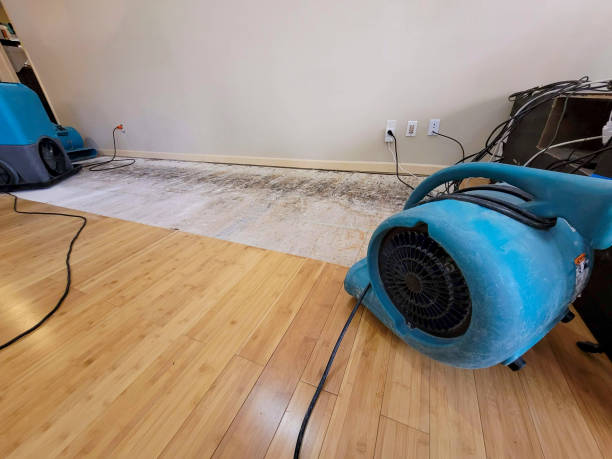 Professional Emergency Water Damage technician working in Thornton, CA